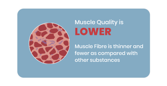 Muscle Quality Low