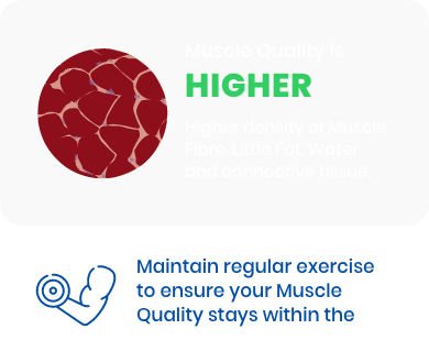 muscle quality high