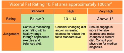 Healthy Visceral Fat Levels Chart