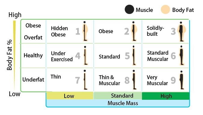 TANITA BC-602 Segmental Body Composition Scale Body Fat Muscle Mass Per  Body Part Daily Calorie Intake 8 Readings Blue